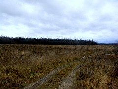Земельный участок в Калязинском районе (5,4 Га)