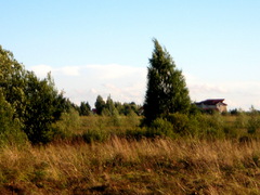 ����� �� ���� ��������� ������� � �.���������� ������������ ������ (40 �����)