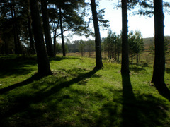 ����� �� ���� ���� ������ 4 �� ����������� �����, 130 �� �� ����