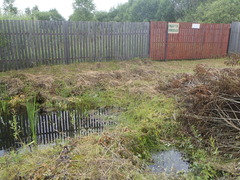 ��������� ������� � ����������� ������, �.���������� (11 �����) - 