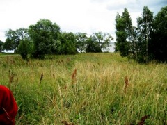 ����� �� ���� ��������� ������� � �.�����������, ��������� ����� (63 �����)